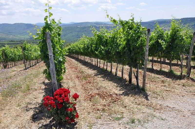 Borgo Castelvecchi Residenza Depoca Hotel Radda in Chianti Luaran gambar