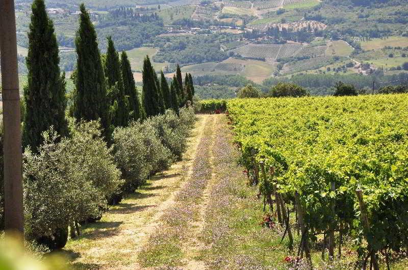 Borgo Castelvecchi Residenza Depoca Hotel Radda in Chianti Luaran gambar